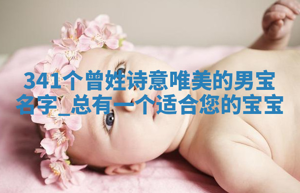 曾姓诗意唯美的男宝名字