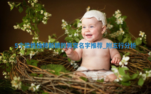 梁姓独特新颖的男宝名字