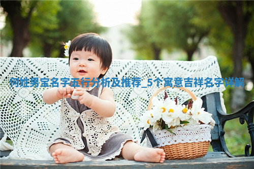 何姓寓意吉祥的男宝名字