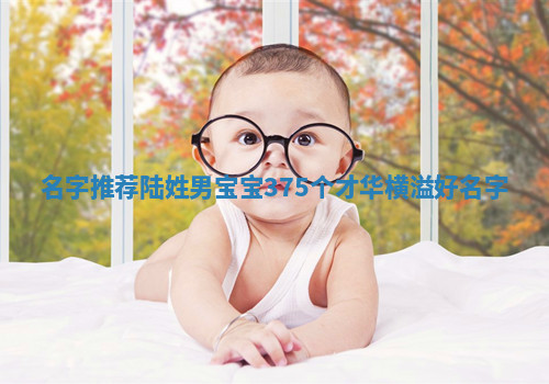 陆姓才华横溢的男宝宝名字