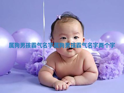 属狗男孩霸气名字_属狗男孩霸气名字两个字