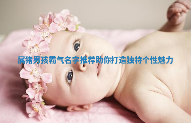 属猪男孩霸气名字推荐 助你打造独特个性魅力