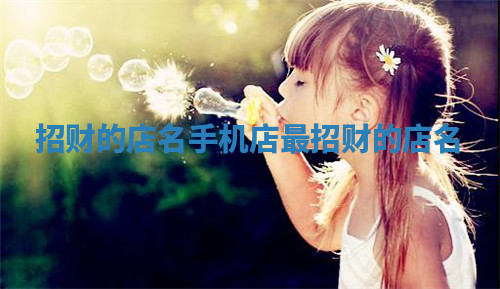 招财的店名 手机店最招财的店名