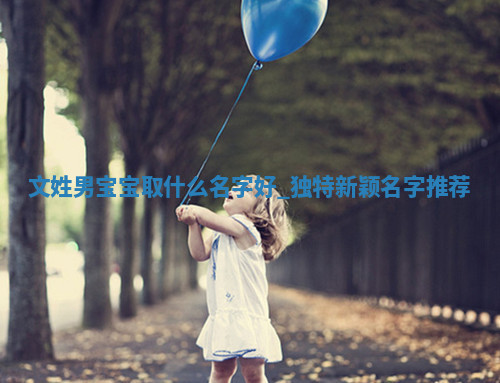 文姓独特新颖的男宝宝名字