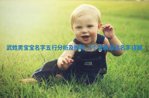 武姓意境深远的男宝宝名字