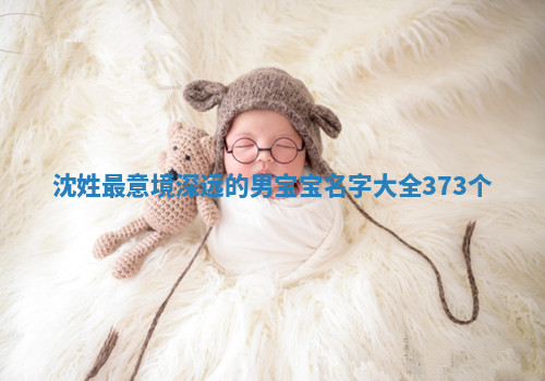 沈姓意境深远的男宝宝名字