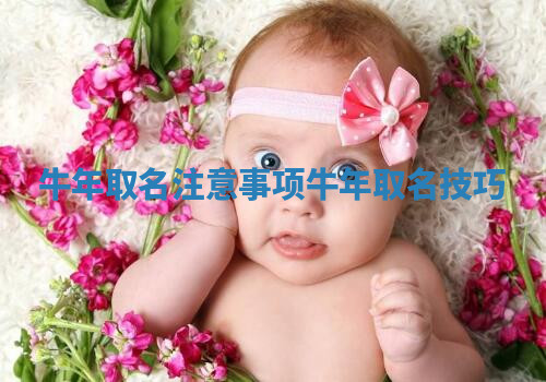 牛年取名注意事项_牛年取名技巧