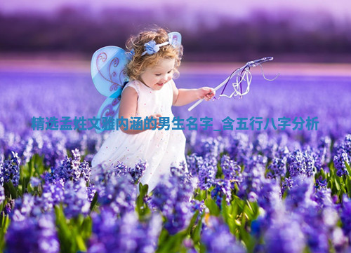 孟姓文雅内涵的男生名字