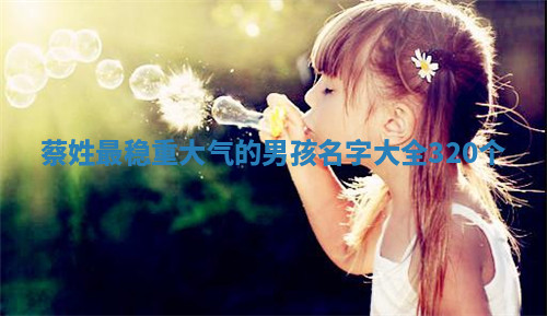 蔡姓稳重大气的男孩名字